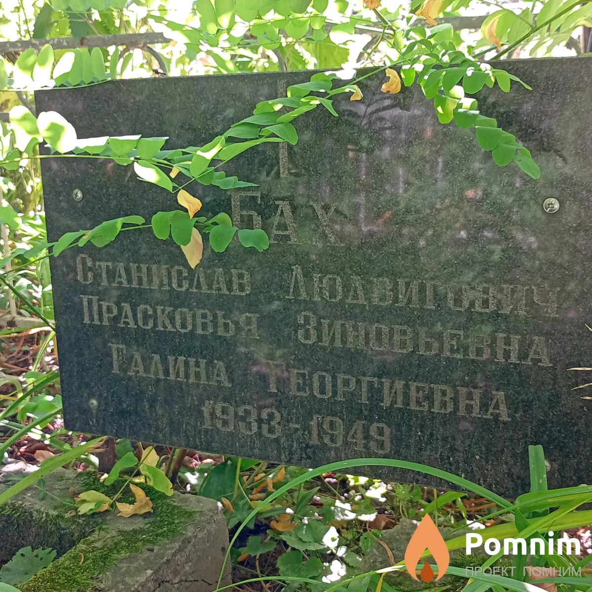 Бах Станислав Людвигович