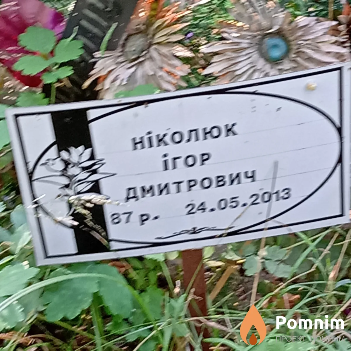Николюк Игорь Дмитриевич