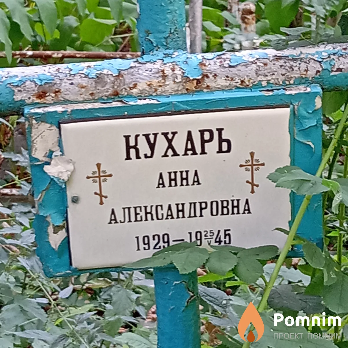Кухарь Анна Александровна