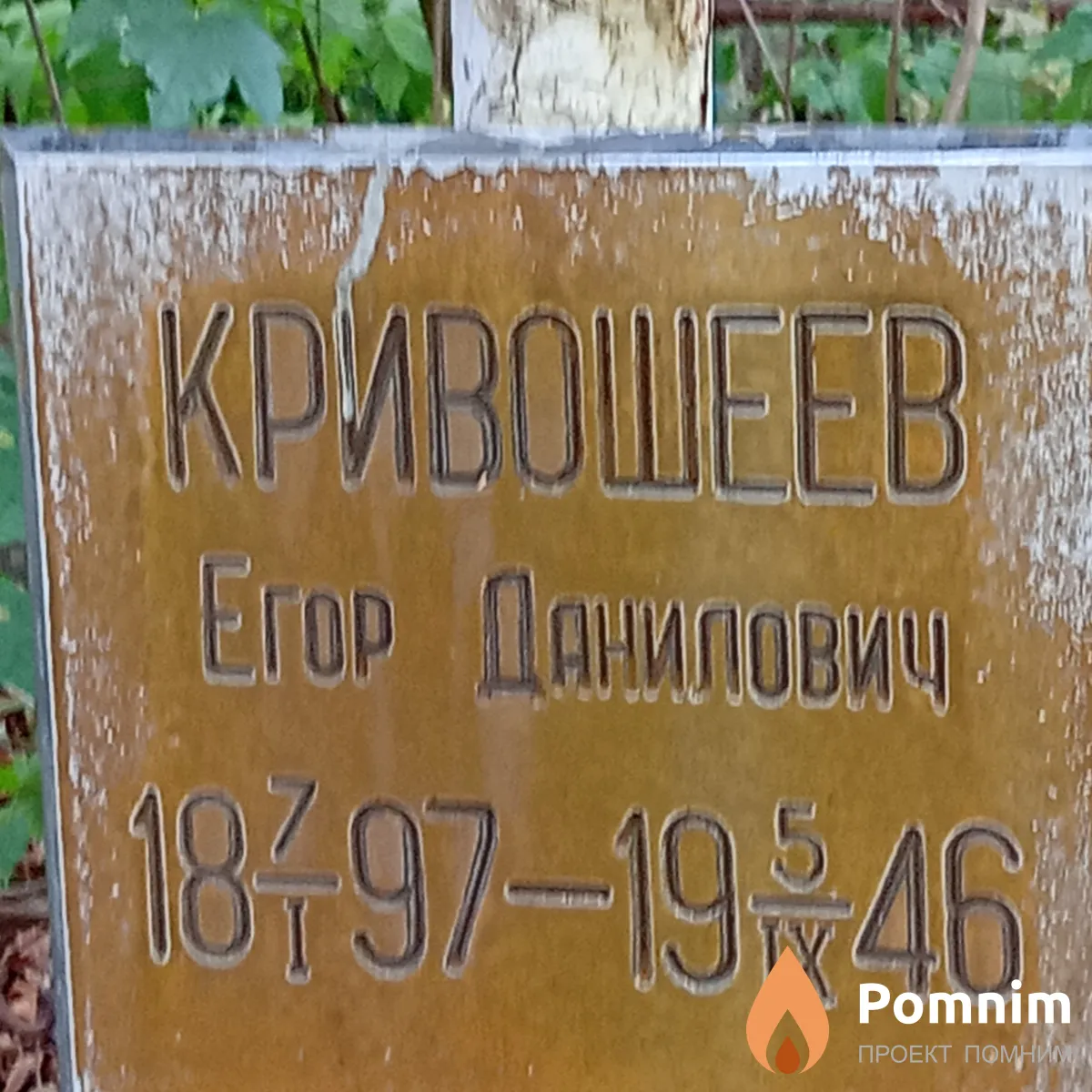 Кривошеев Егор Данилович