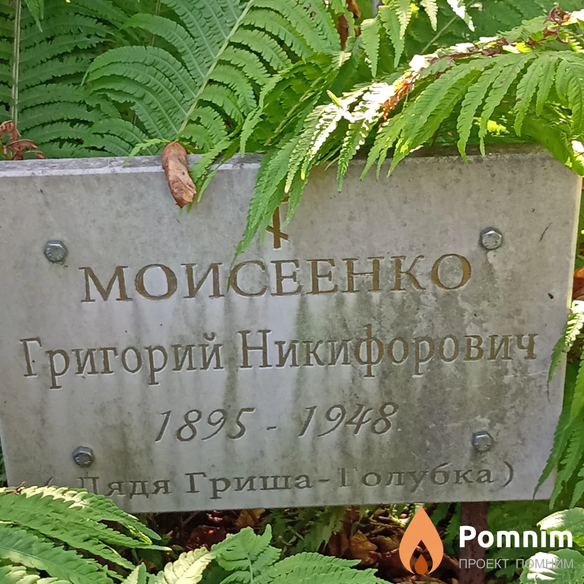 Моисеенко Григорий Никифорович