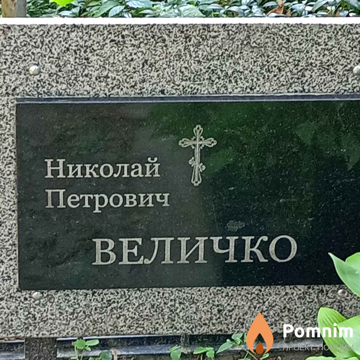 Величко Николай Петрович