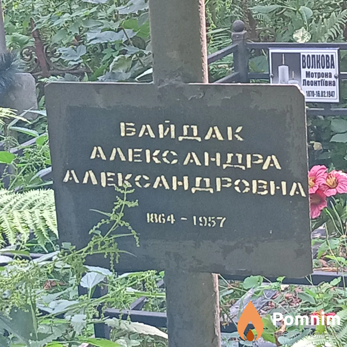 Байдак Александра Александровна