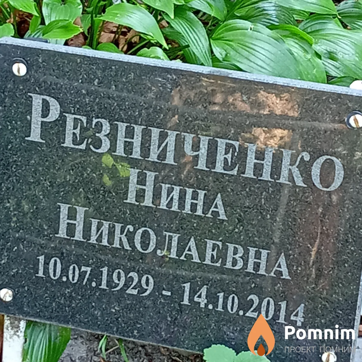 Резниченко Нина Николаевна