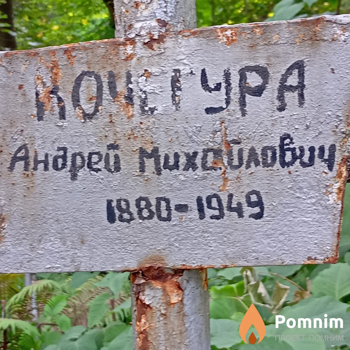 Кочегура Андрей Михайлович