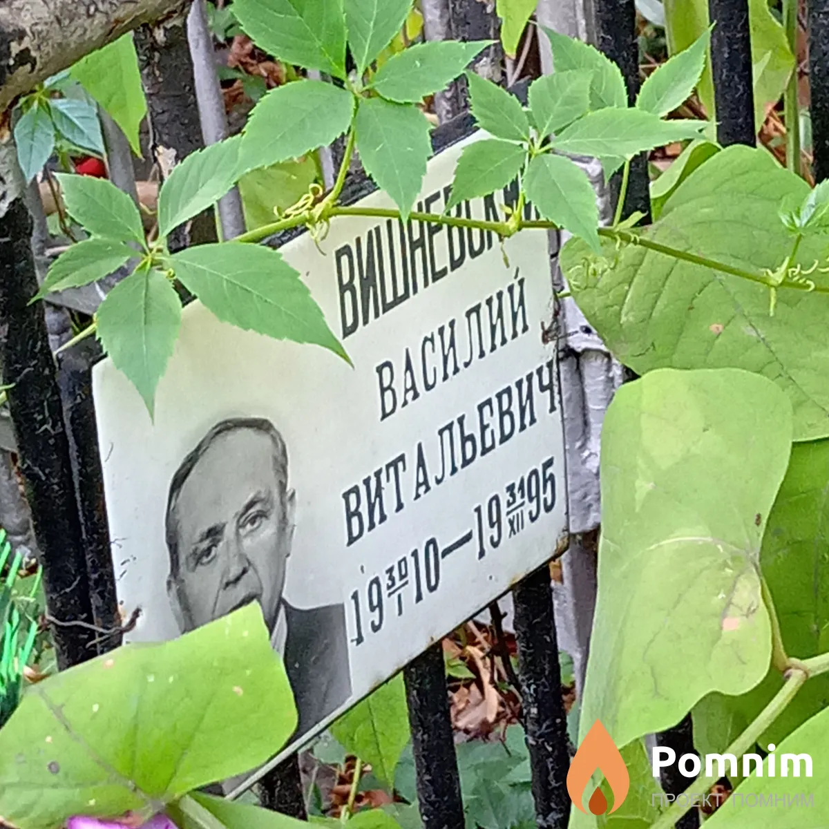 Вишневский Василий Витальевич
