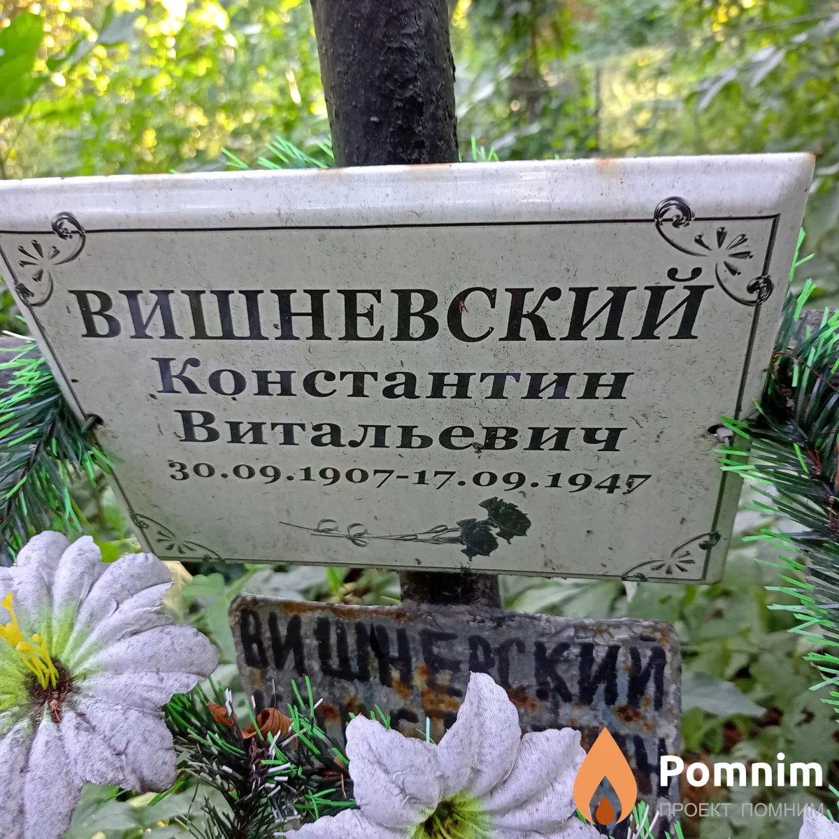 Вишневский Константин Витальевич