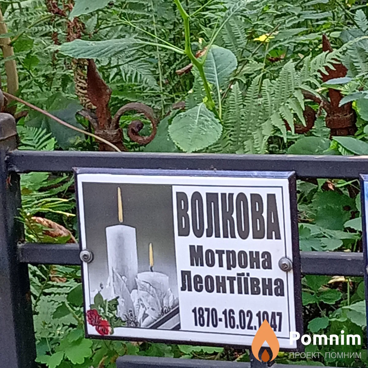 Волкова Мотрона Леонтїївна