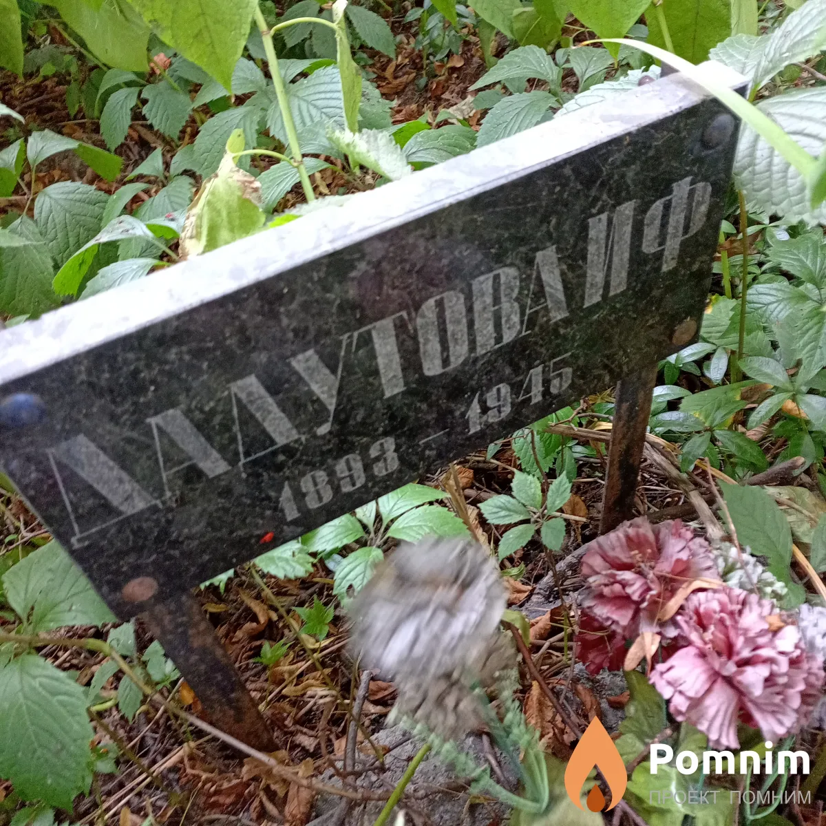 Дадутова И Ф