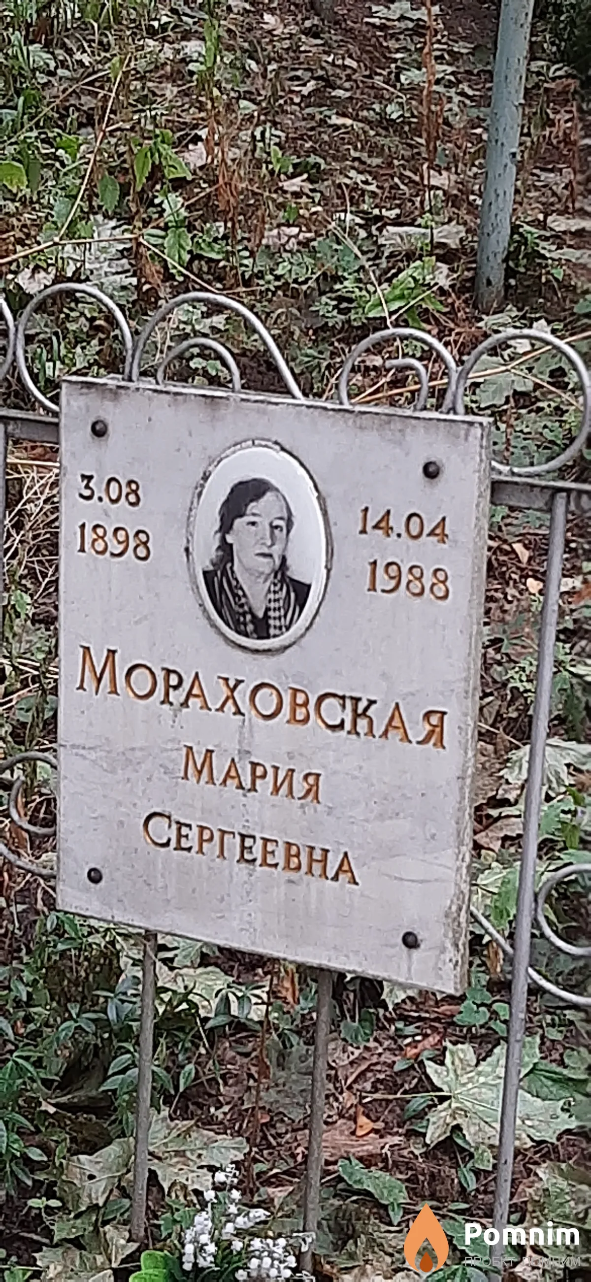 Мораховская Мария Сергеевна