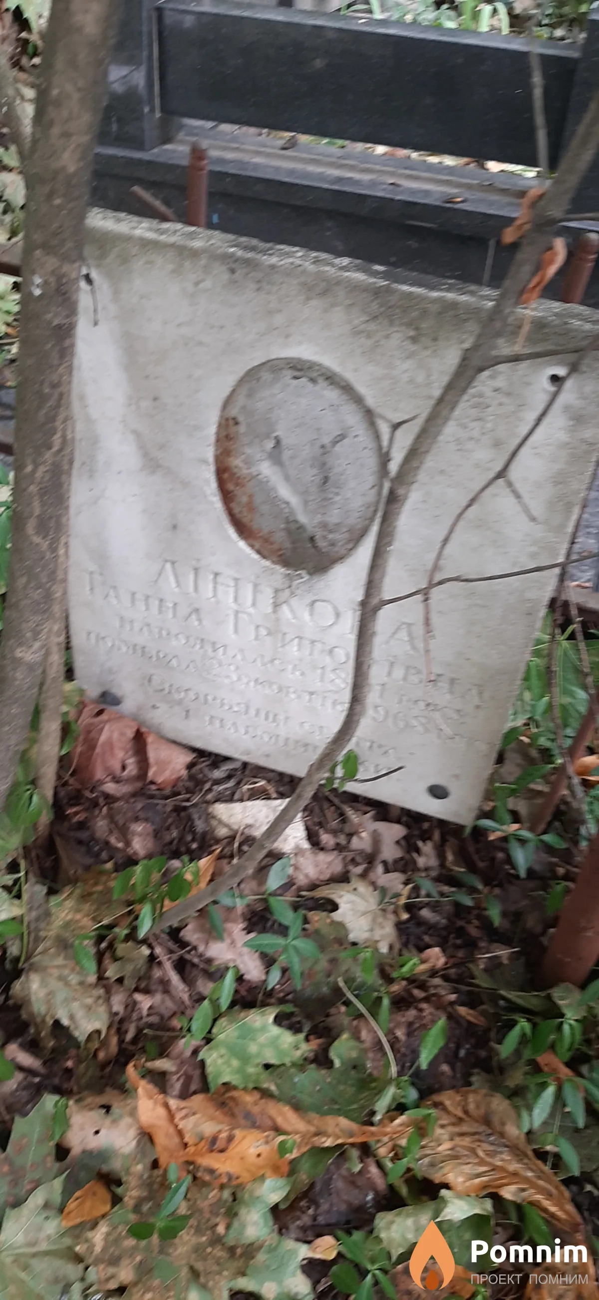 Линикова Анна Григорьевна