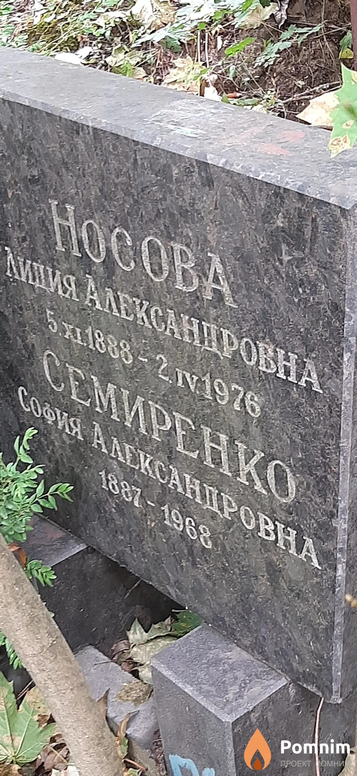 Семиренко София Александровна