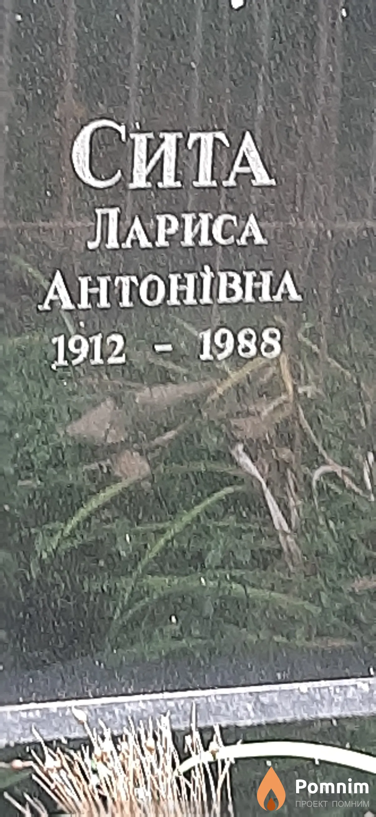 Сита Лариса Антоновна