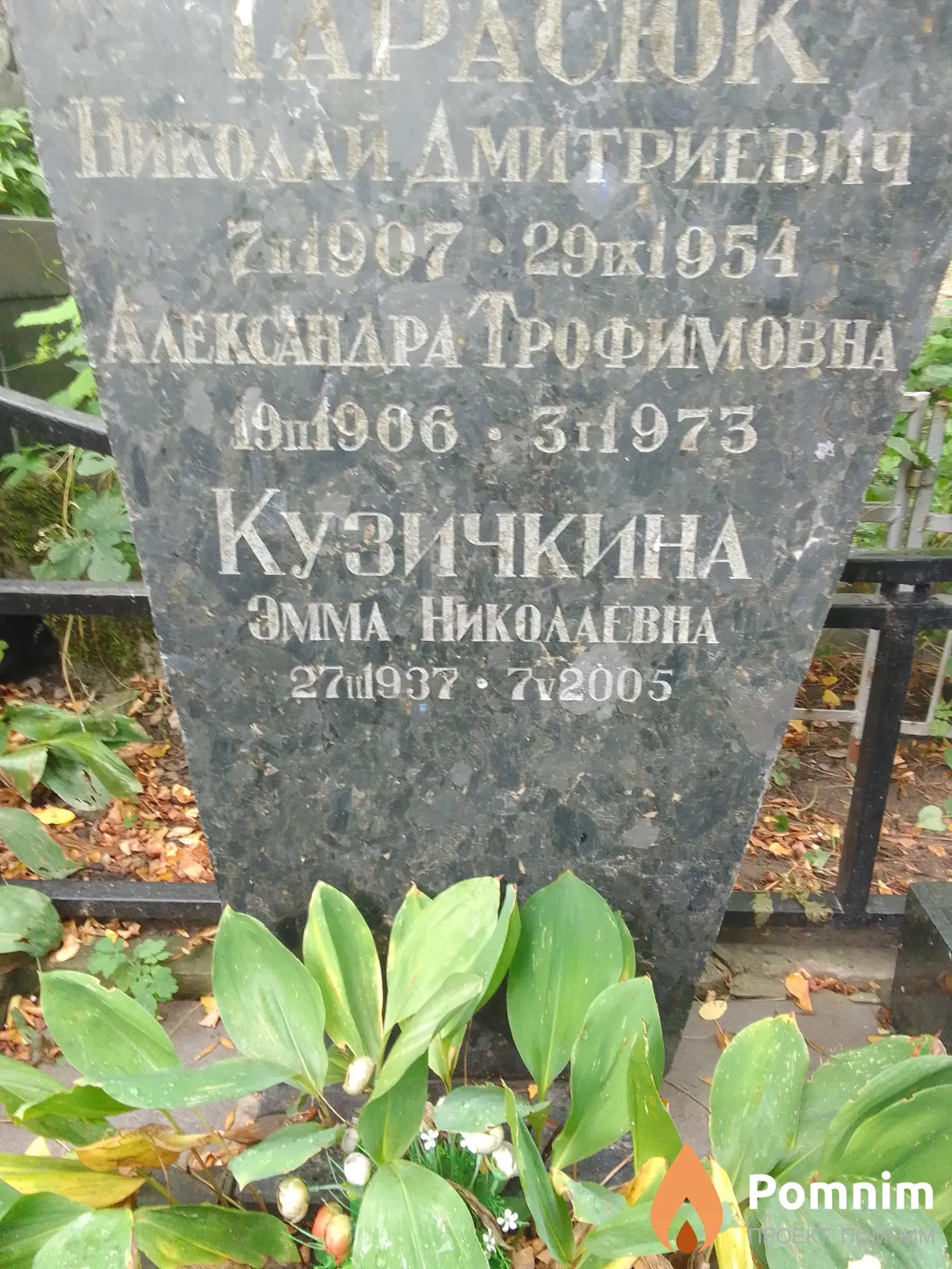 Кузичкина Эмма Николаевна