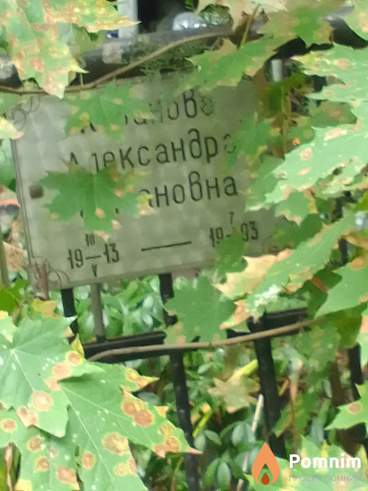 Кабанова Александра Романовна