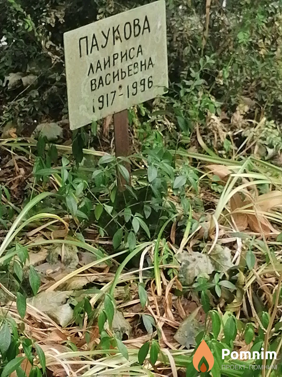 Паукова Лариса Васильевна