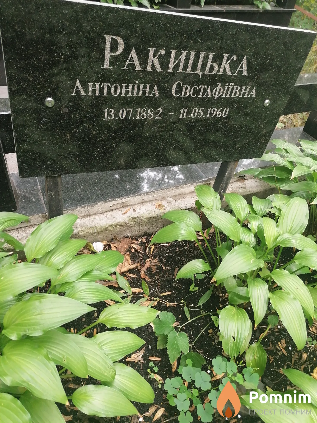 Ракицька Антонина Евстафіївна