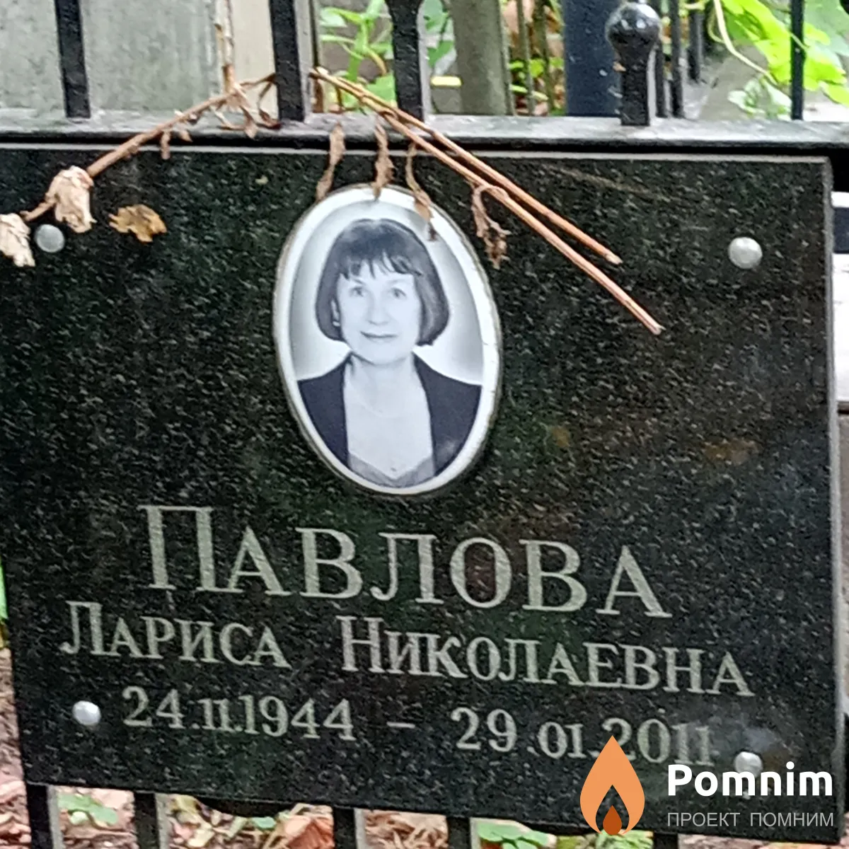Павлова Лариса Николаевна