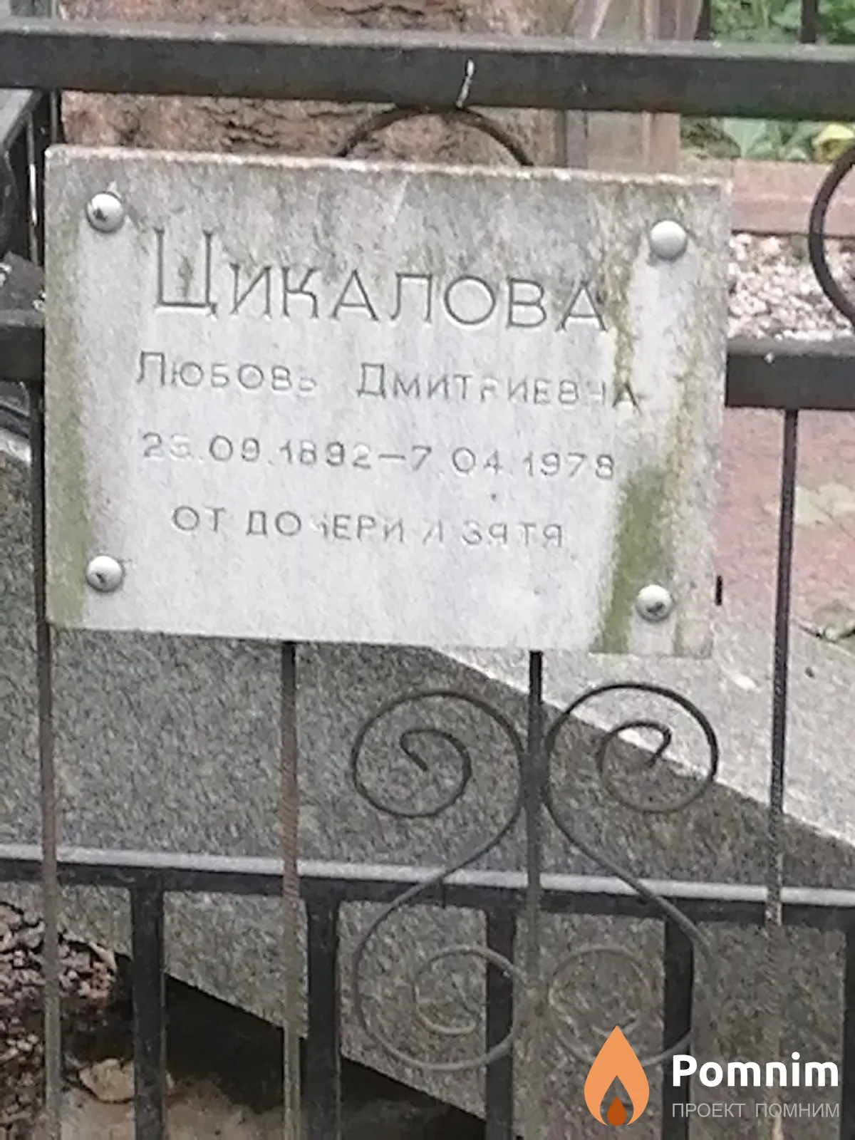 Цикалова Любовь Дмитриевна