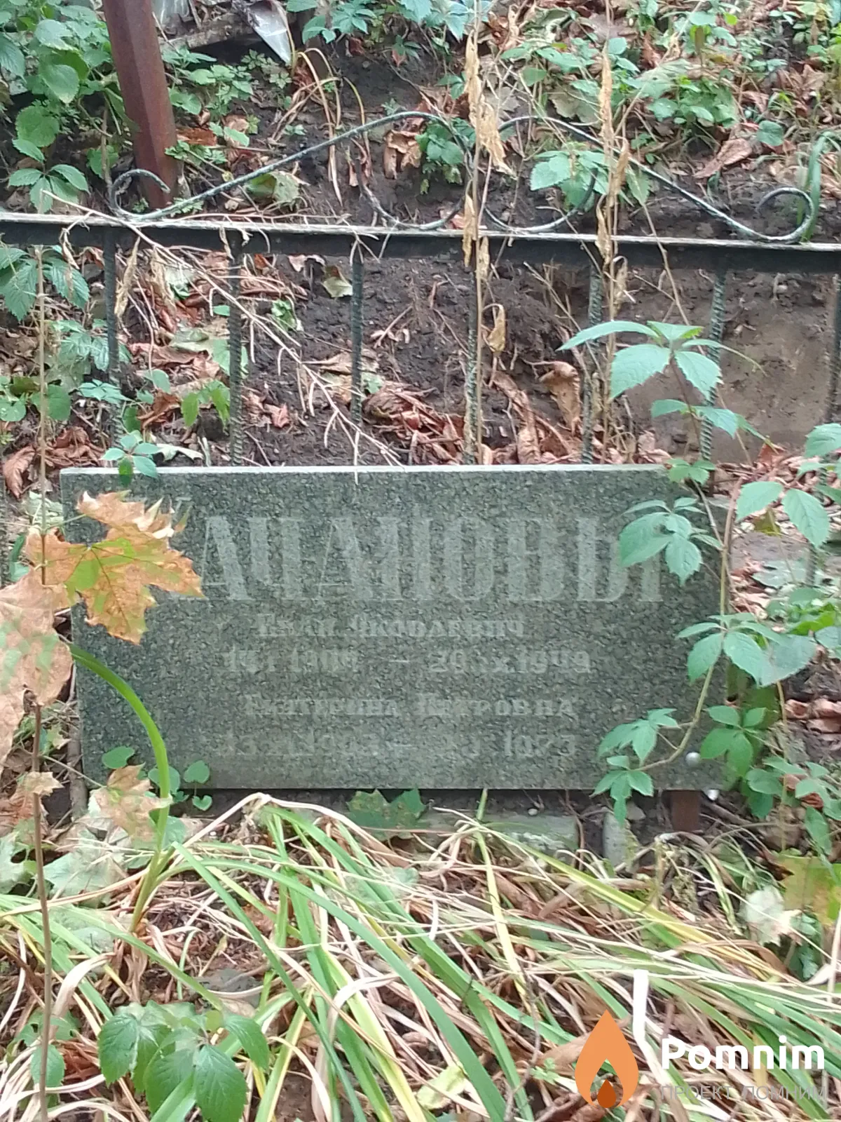 Качанова Екатерина Петровна