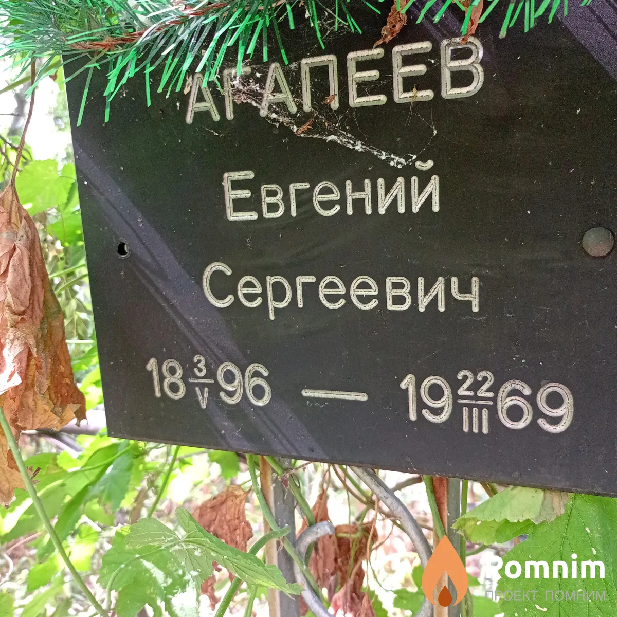 Агапеев Евгений Сергеевич
