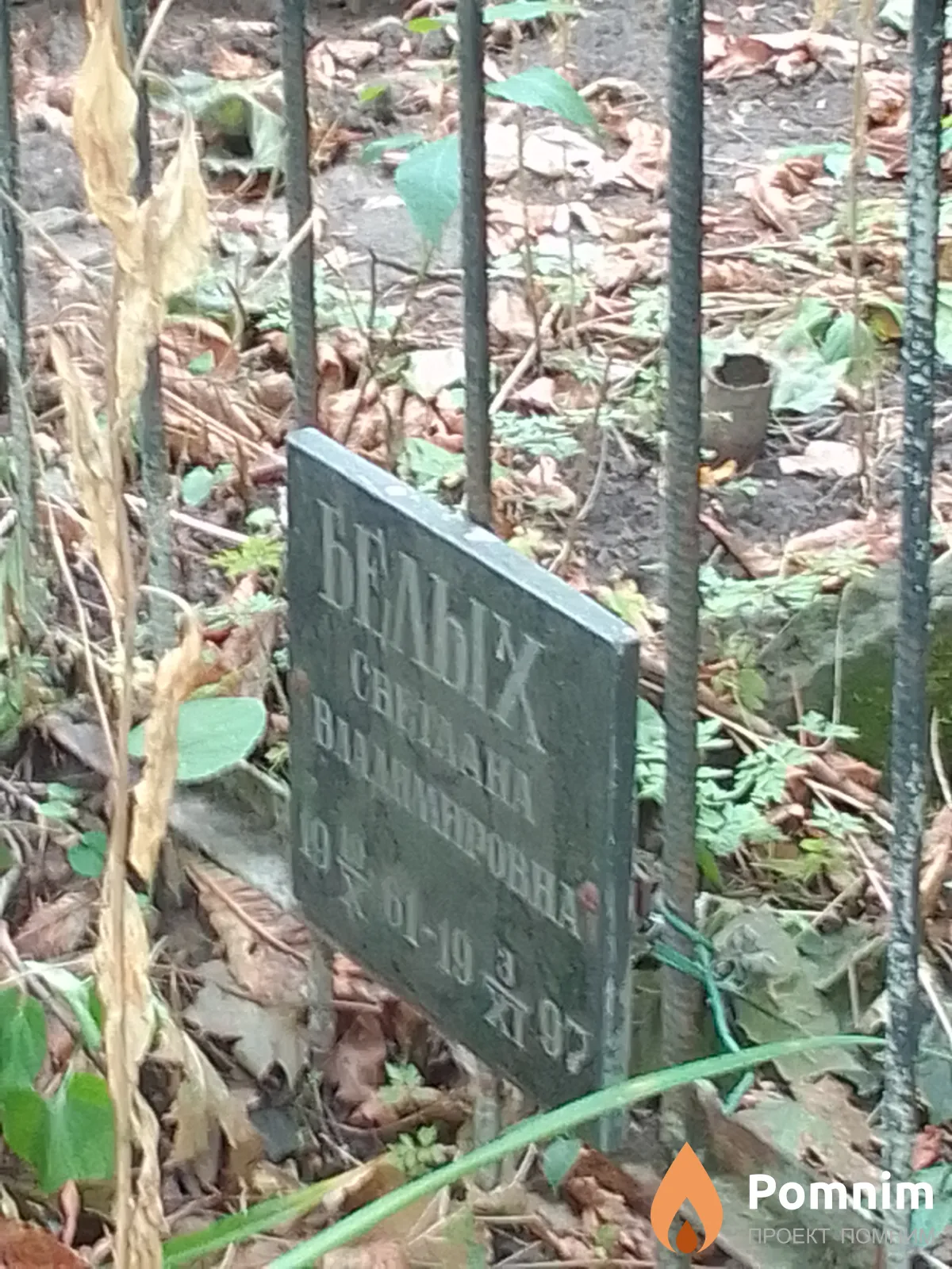 Белых Светлана Владимировна