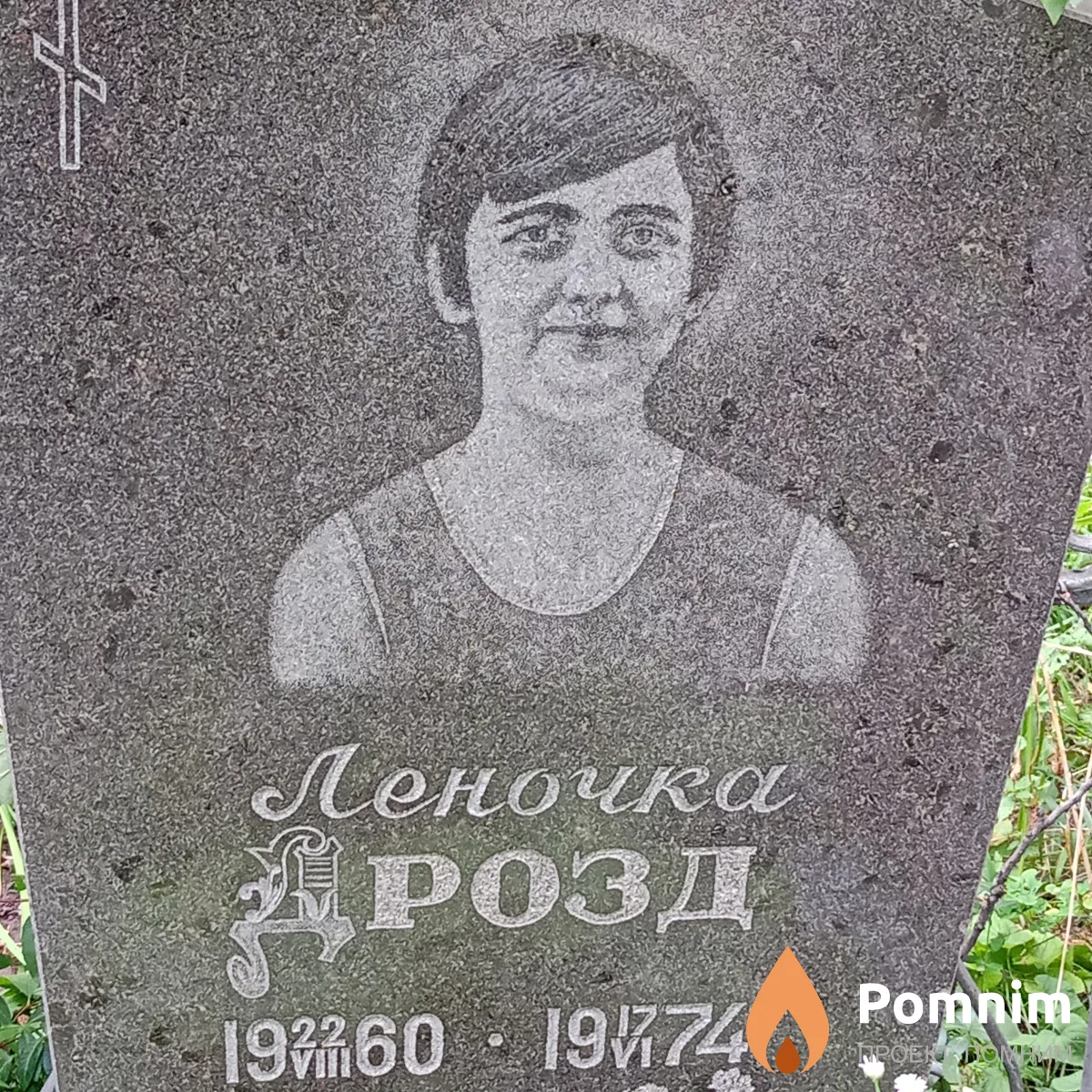 Дрозд Елена