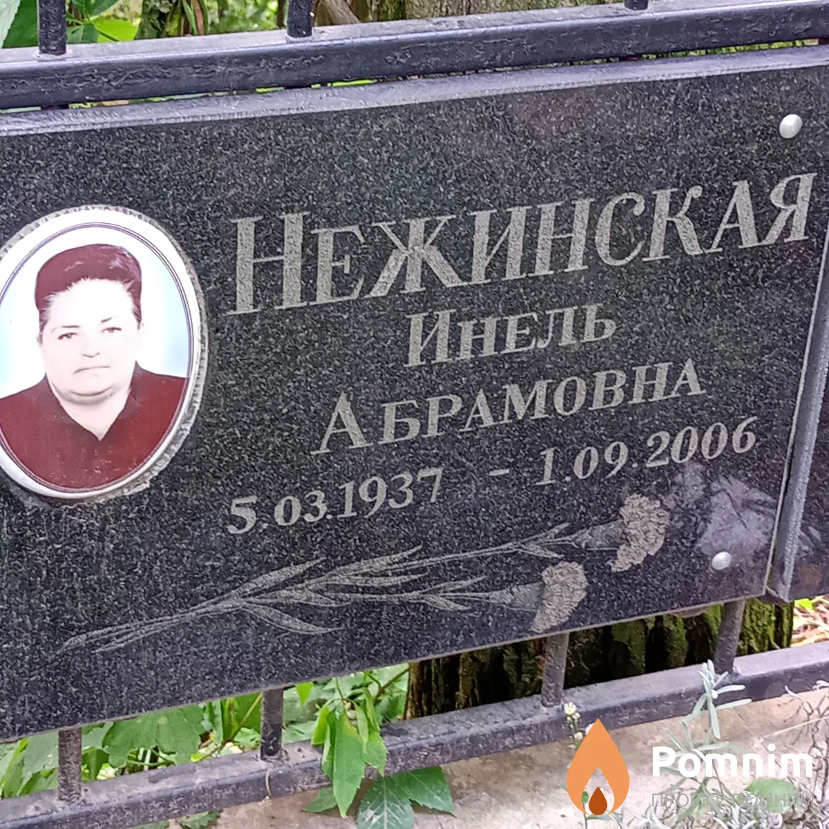 Нежинская Инель Абрамовна