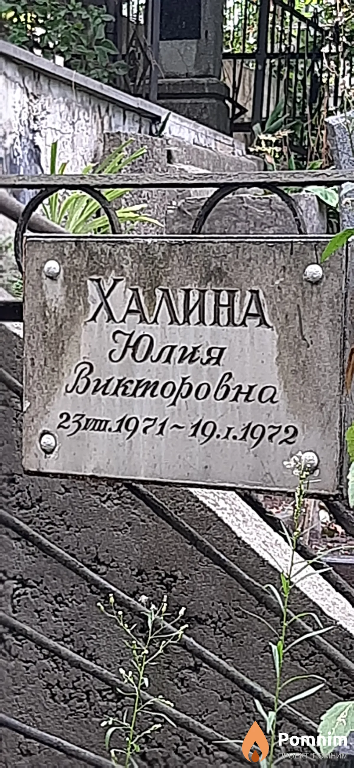 Халина Юлия Викторовна
