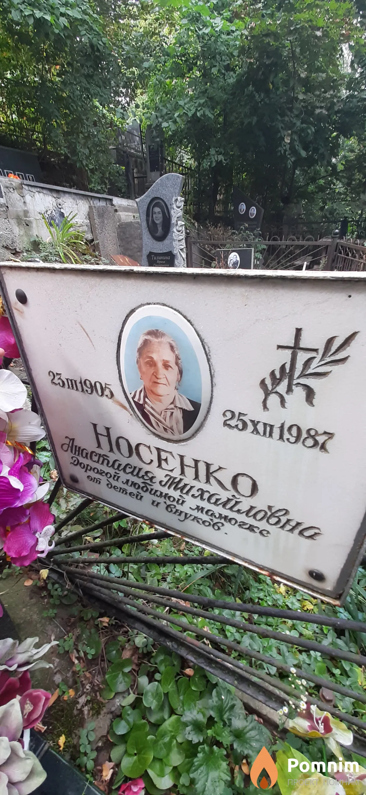 Носенко Анастасия Михайловна