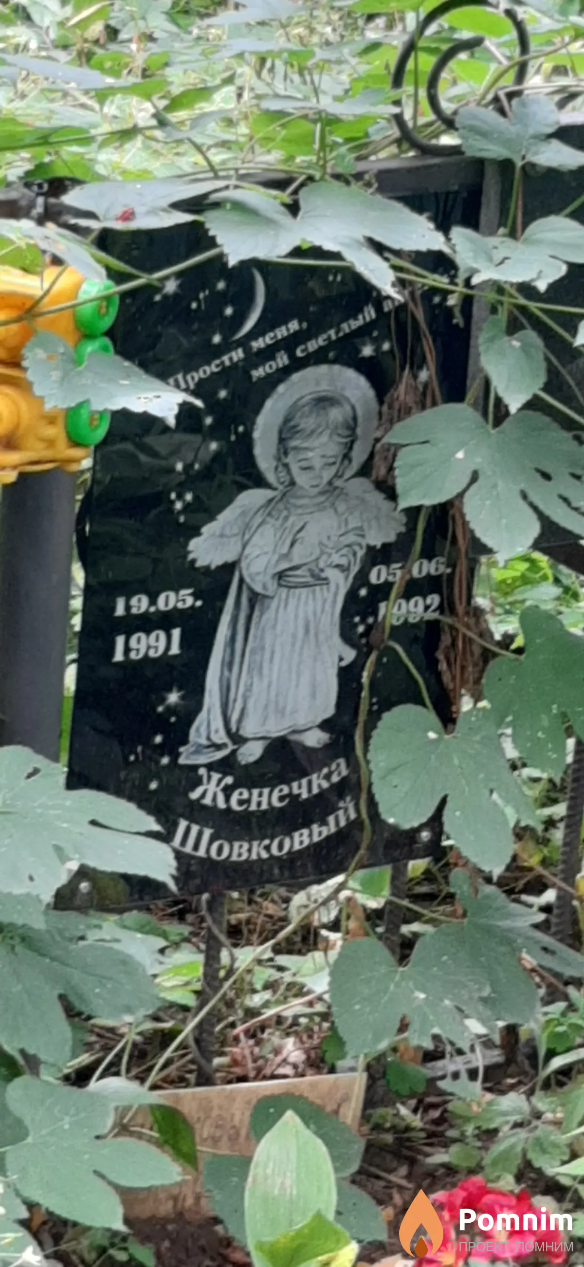 Шовковый Женечка