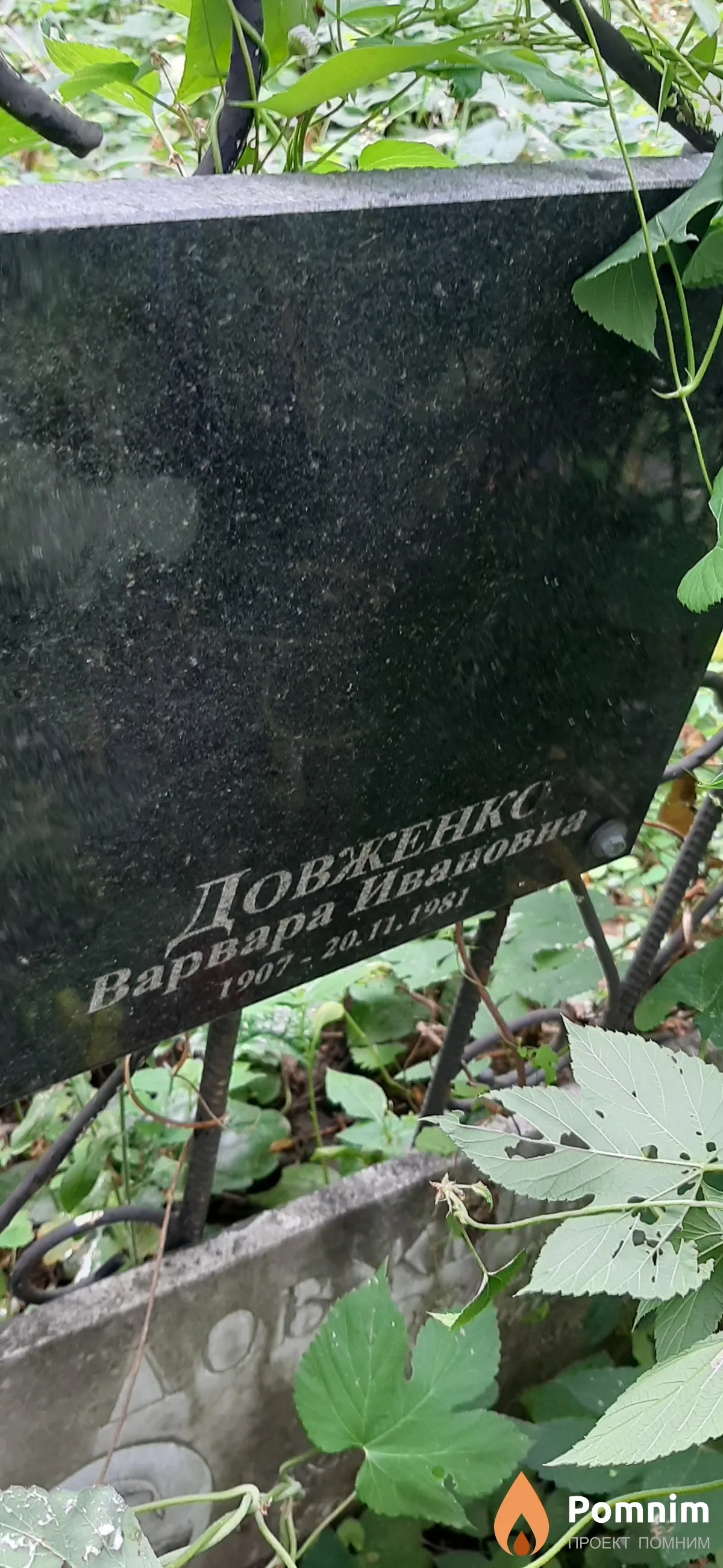 Довженко Варвара Ивановна