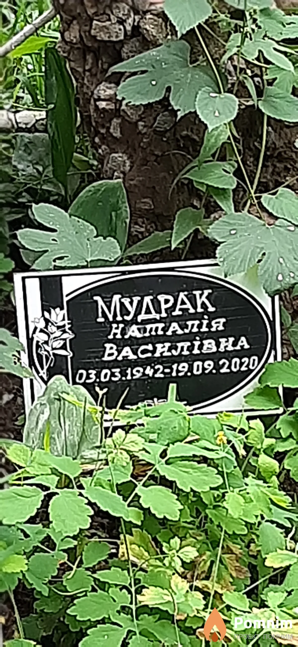 Мудрак Наталия Васильевна