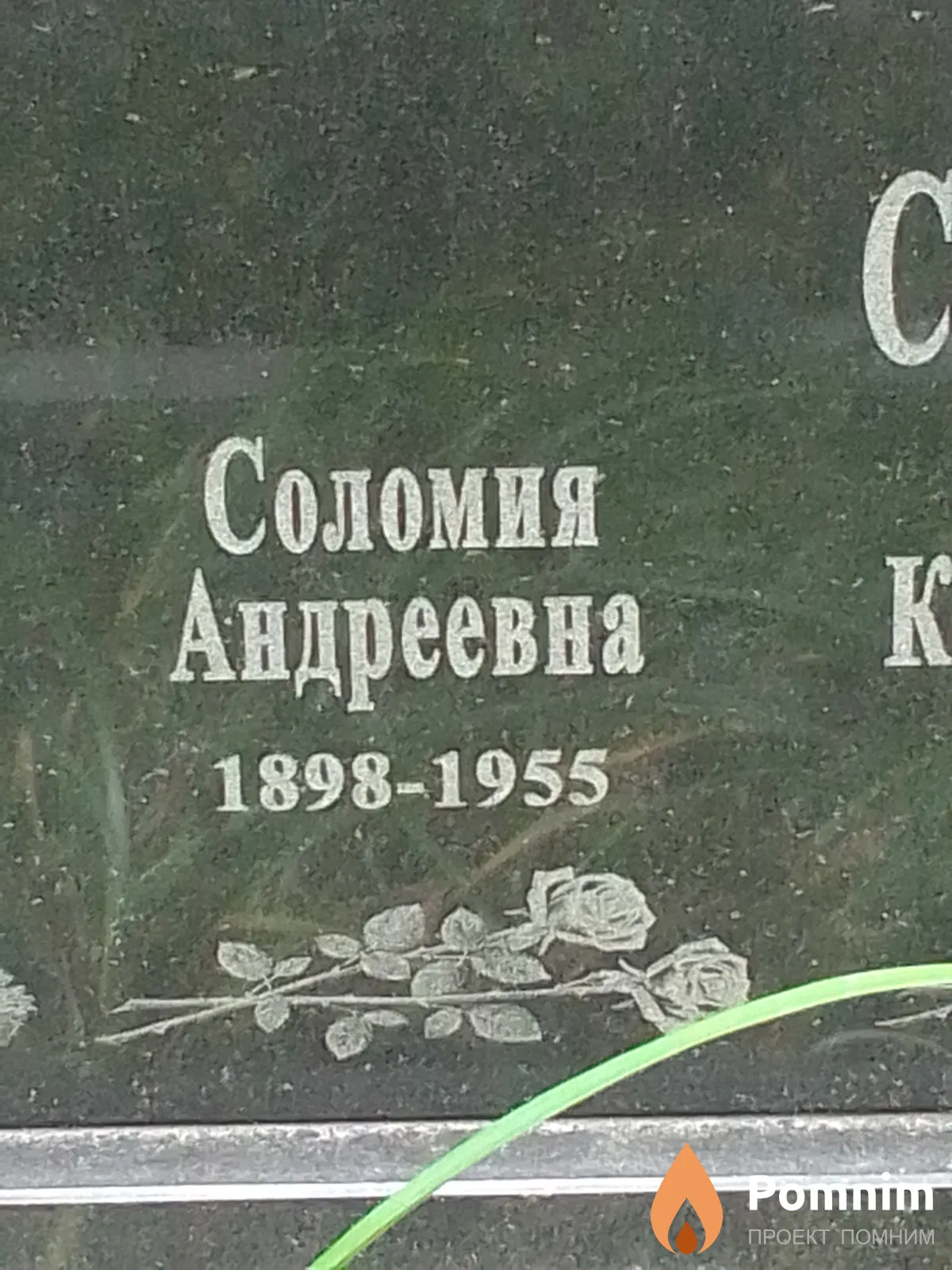 Левчук Соломия Андреевна