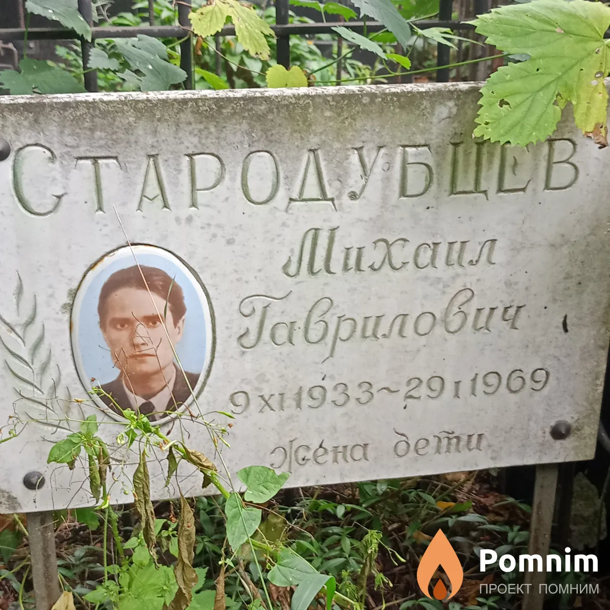 Стародубцев Михаил Гаврилович