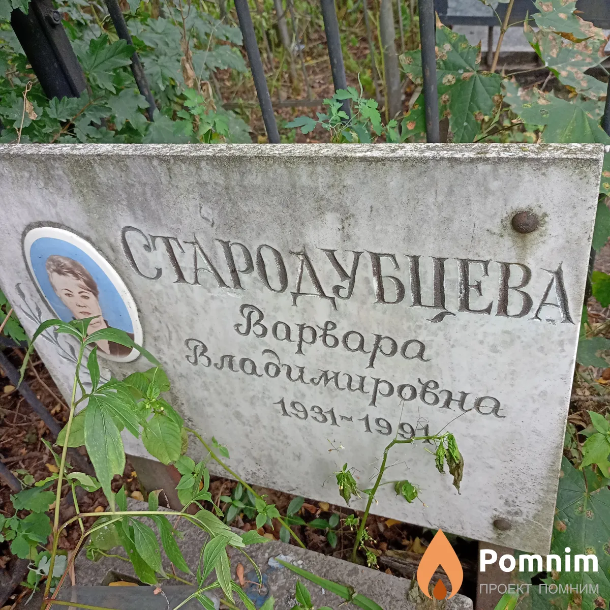 Стародубцева Варвара Владимировна