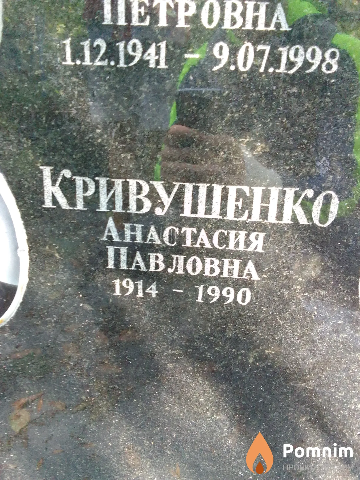 Кривушенко Анастасия Павловна