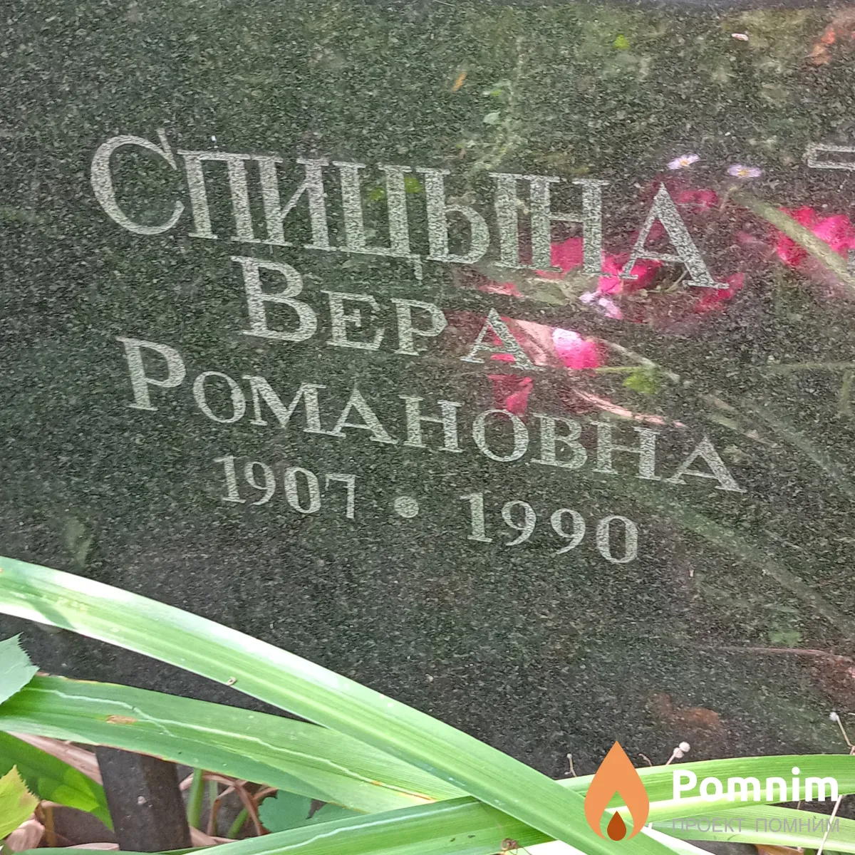Спицына Вера Романовна