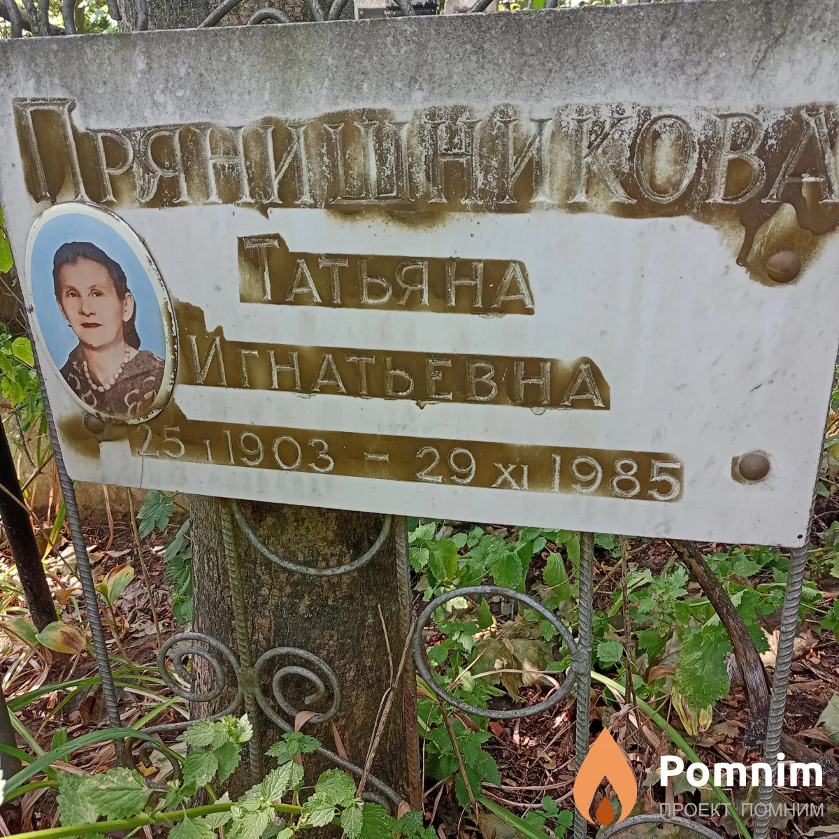 Прянишникова Татьяна Игнатьевна