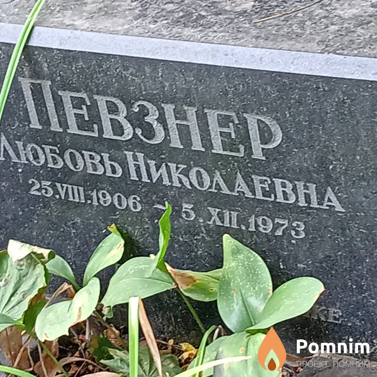 Певзнер Любовь Николаевна
