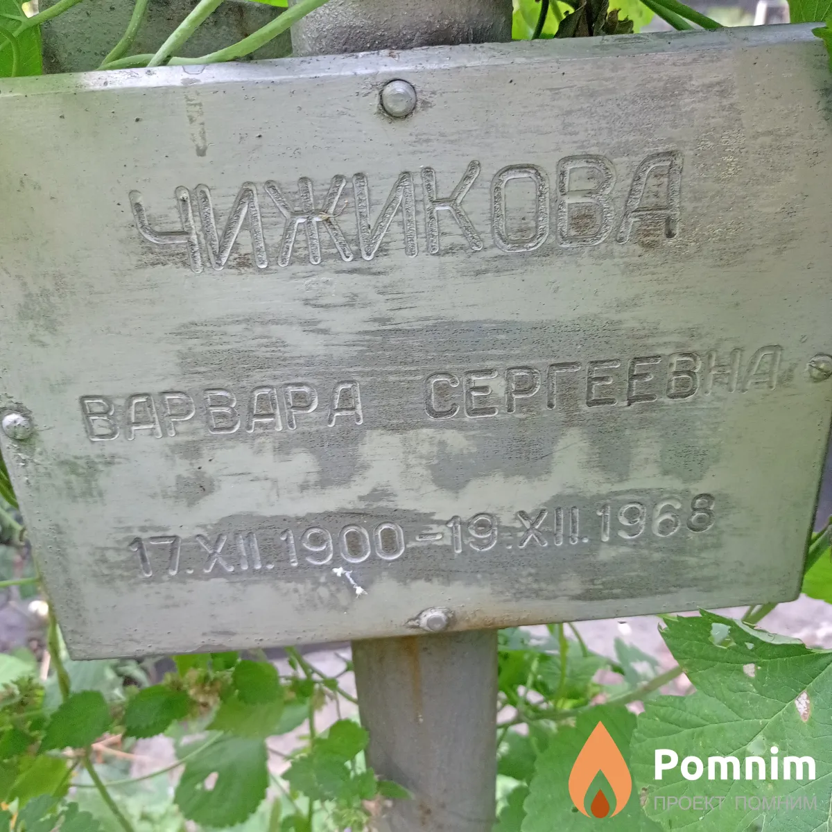 Чижикова Варвара Сергеевна