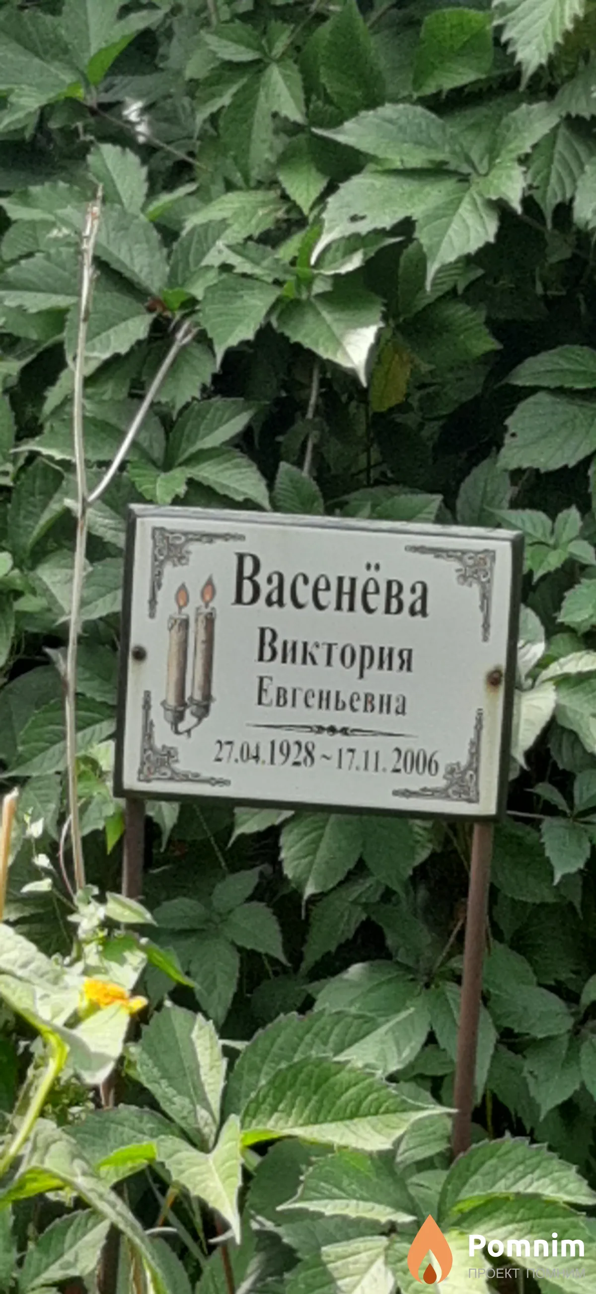 Васенёва Виктория Евгеньевна
