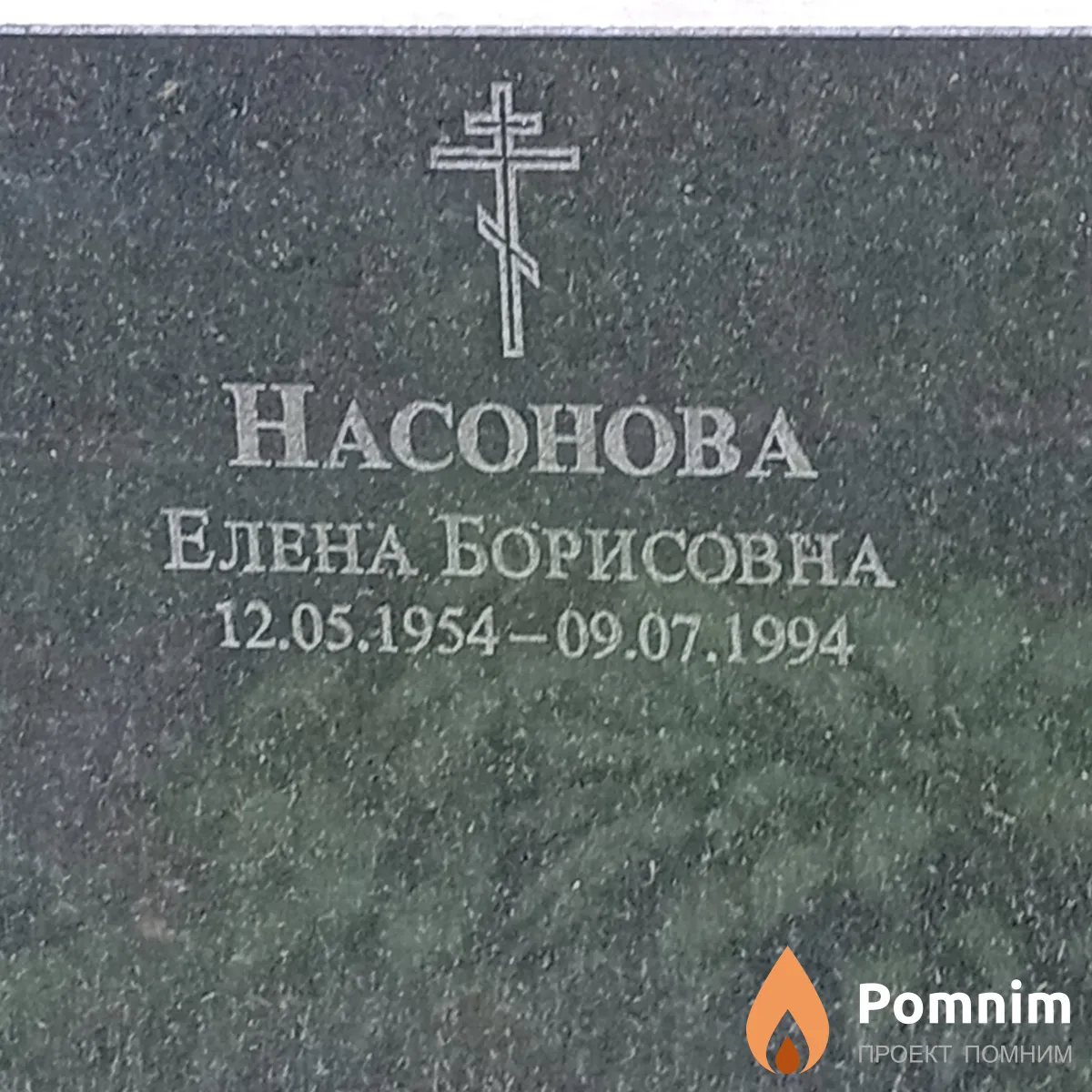 Насонова Елена Борисов