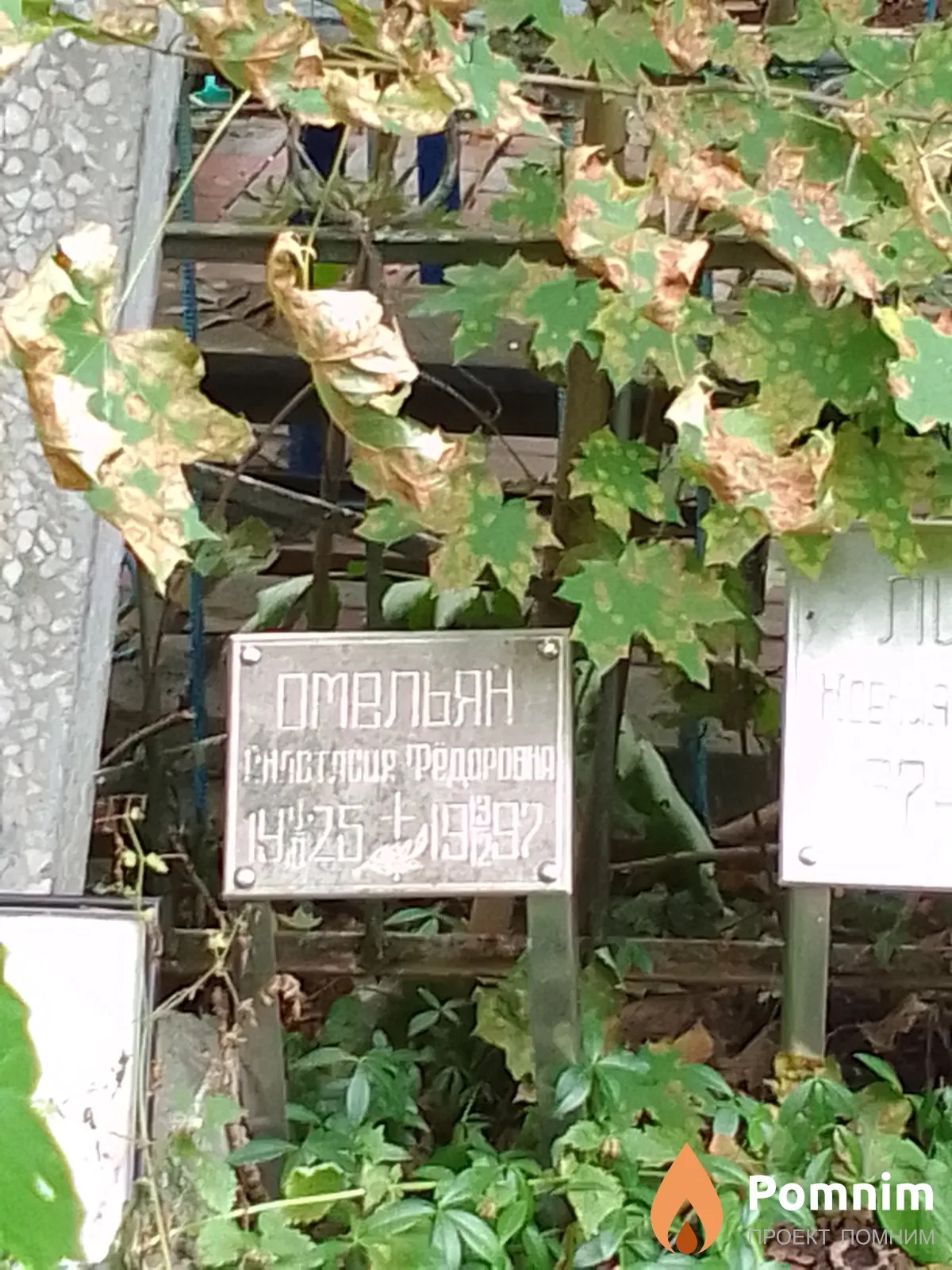 Омельян Анастасия Федоровна