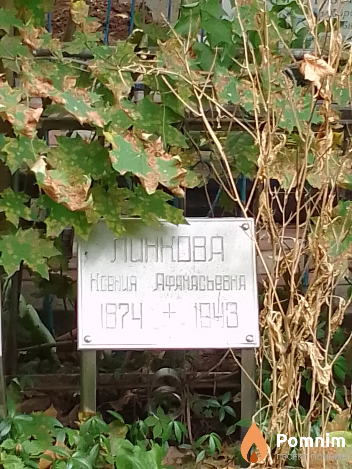 Линкова Ксения Афанасьевна