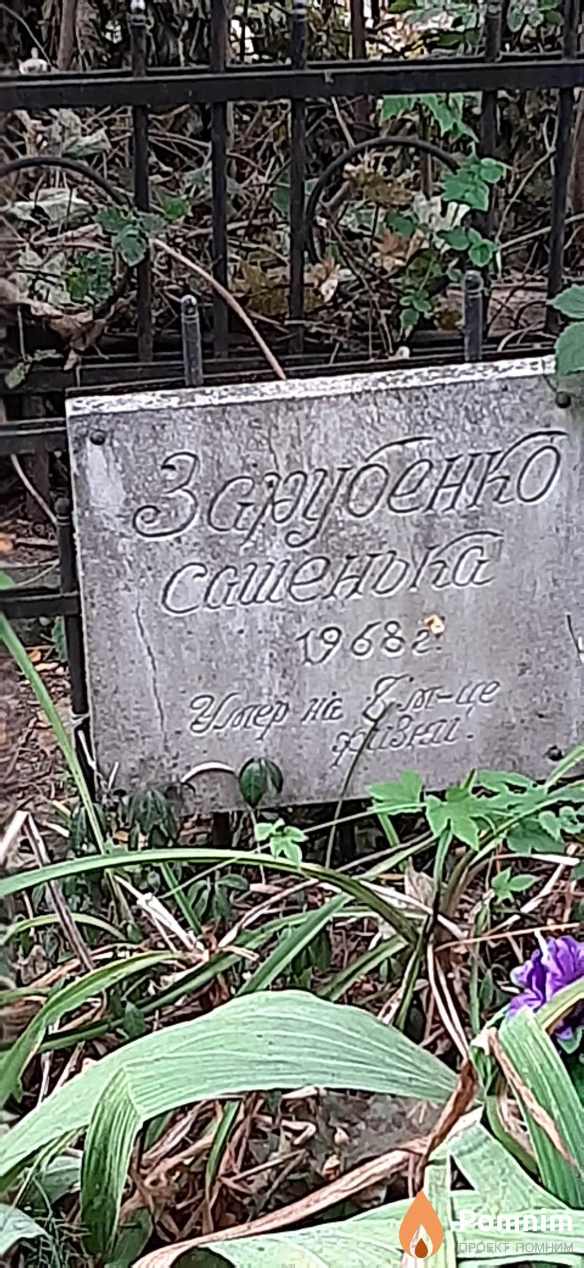 Зарубенко Сашенька