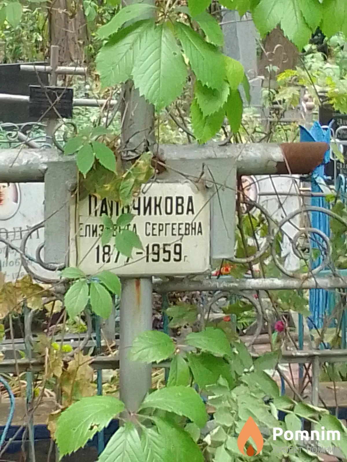 Пальчикова Елизавета Сергеевна