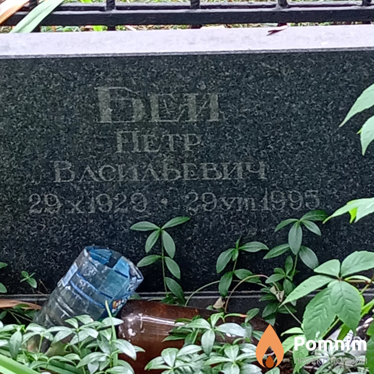 Бей Петр Васильевич