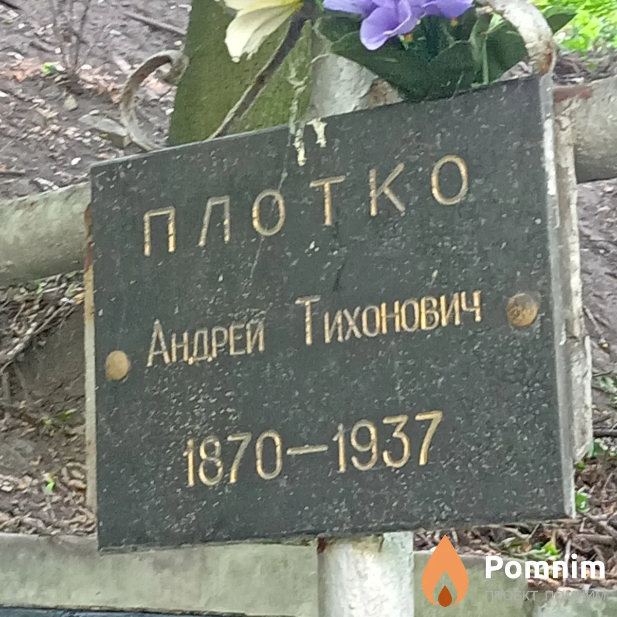 Плотко Андрей Тихонович