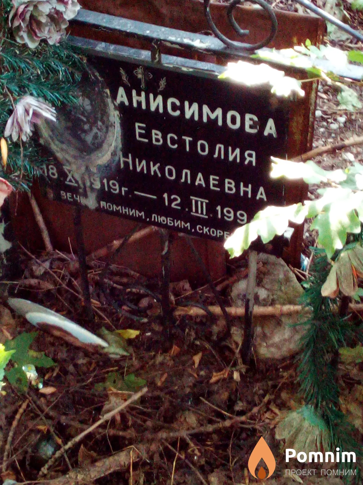 Анисимова Евстолия Николаевна